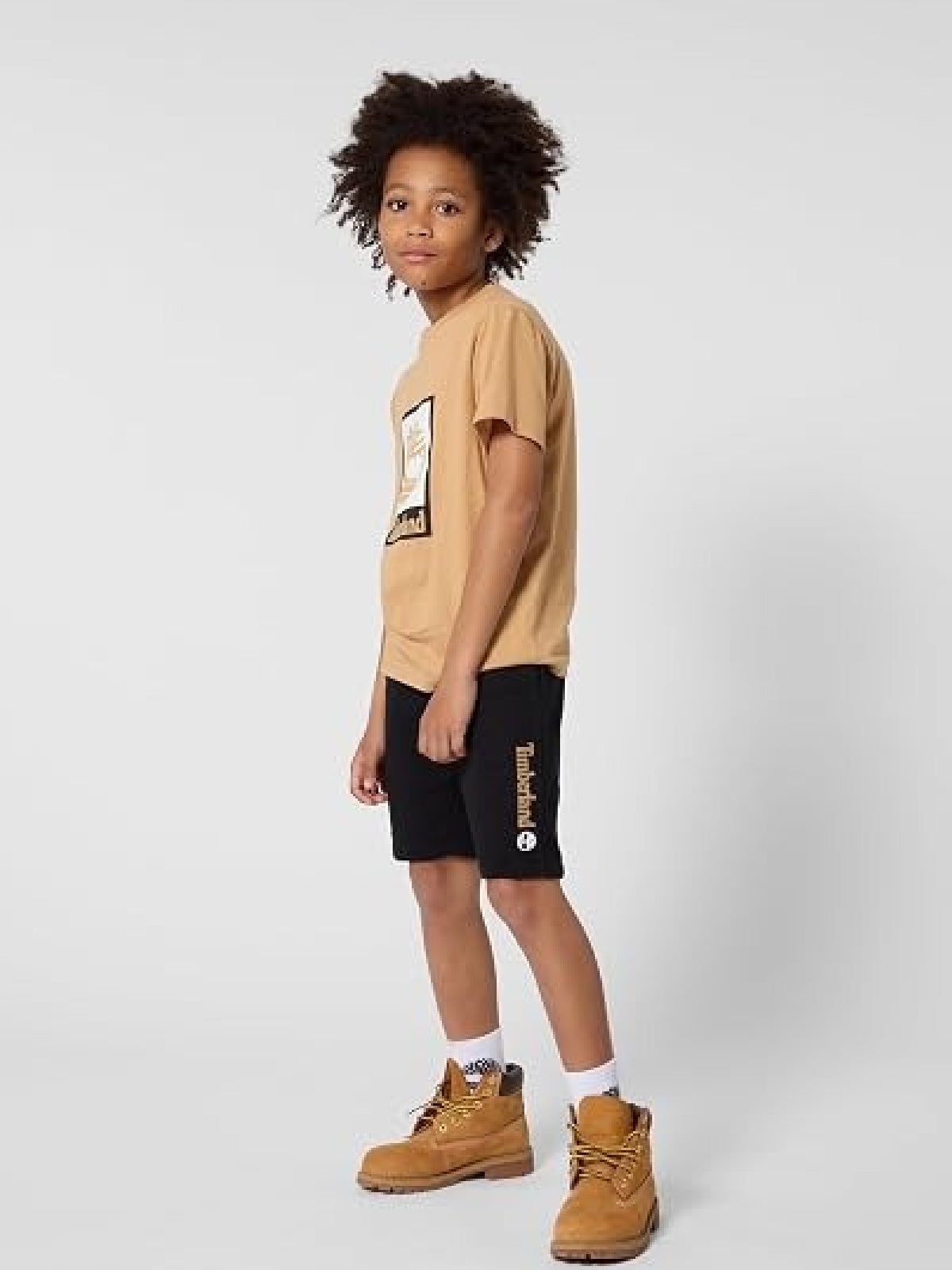 T60969/230 TIMBERLAND