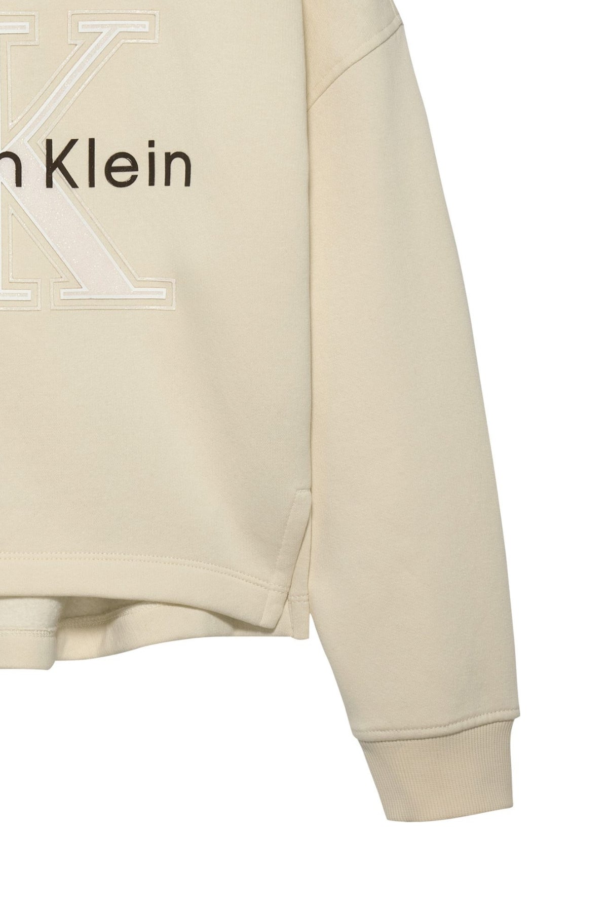 FESTIVE GRAPHIC FLEECE HOODIE 