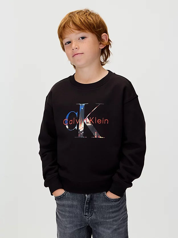 FILLED-IN PHOTO FLEECE MONO CN 