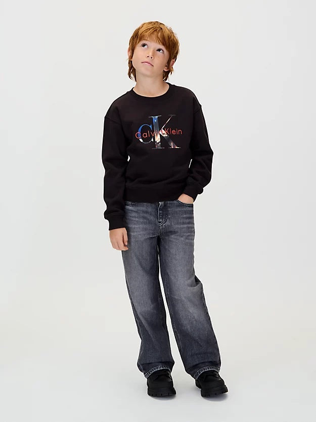 FILLED-IN PHOTO FLEECE MONO CN 