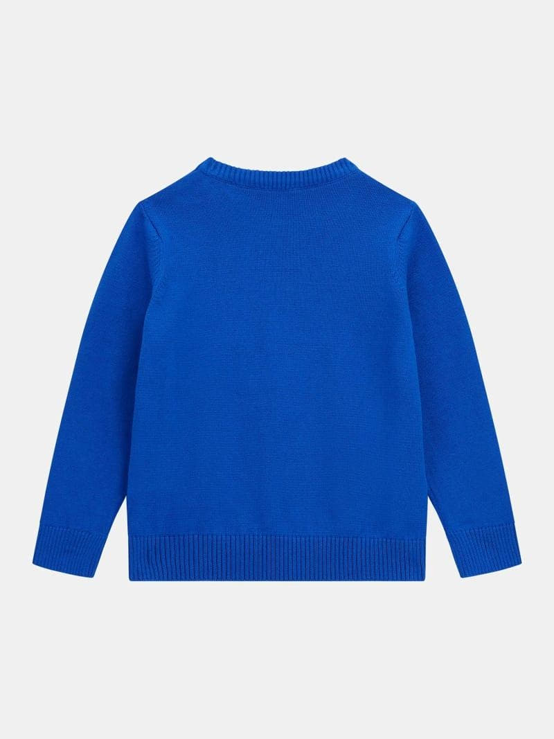 LS SWEATER 