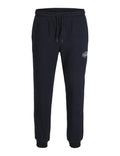 JACK AND JONES JPSTGORDON MAKOTO SWEAT PANTS