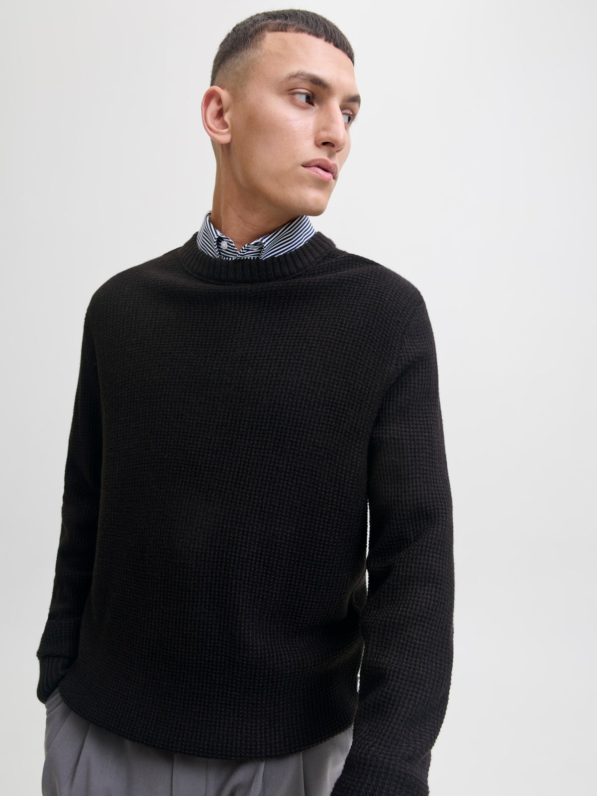 JJROY KNIT CREW NECK AW25 