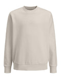 JACK JONES KIDS JJJIN SWEAT CREW NECK MNI