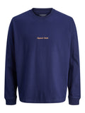 JACK JONES KIDS JORNORREBRO EMB TEE LS CREW NECK JNR