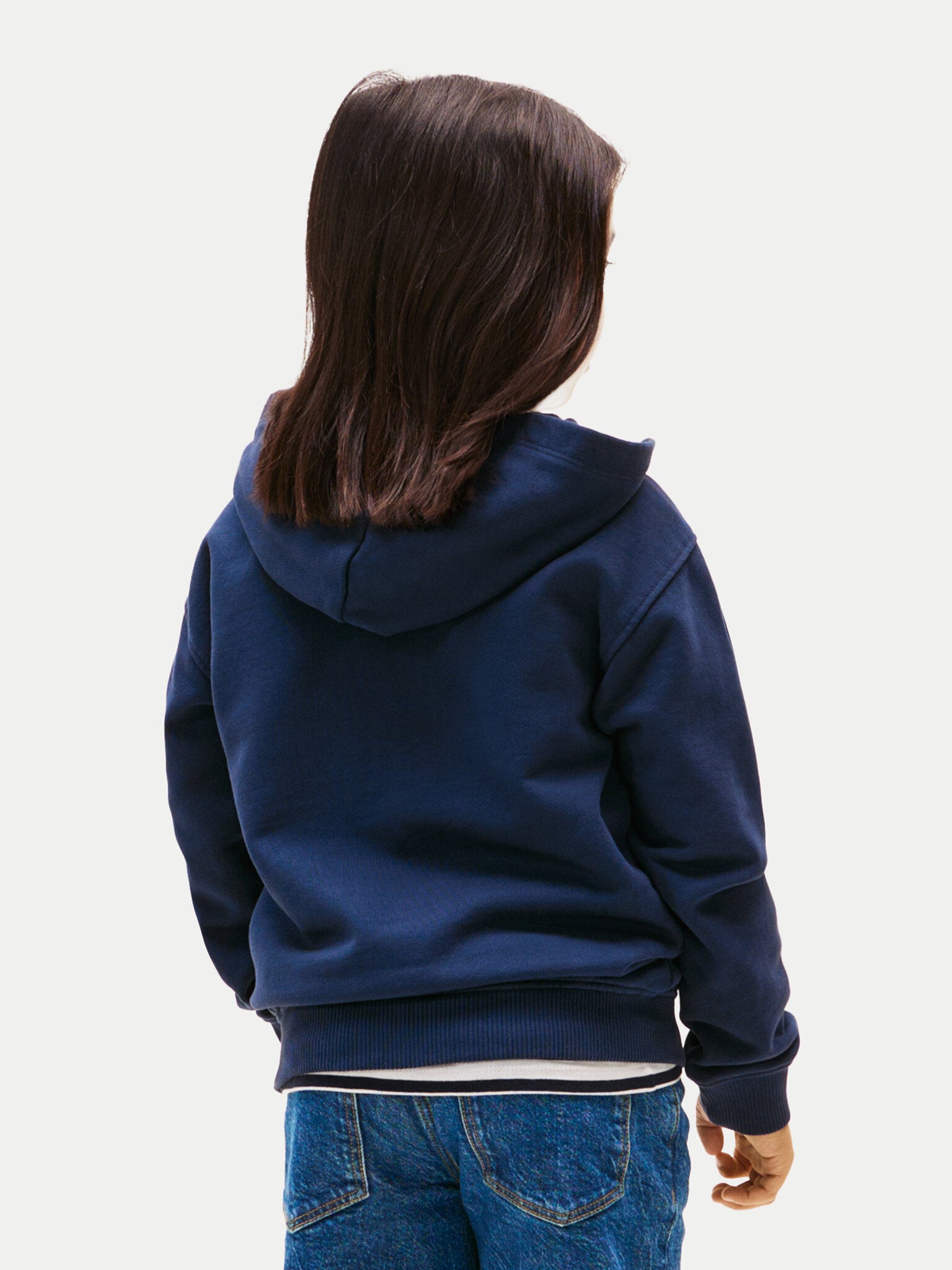 TONAL FLAG EMB  ZIP HOODIE 