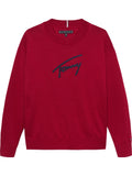 TOMMY HILFIGER VARSITY GRAPHIC SWEATER