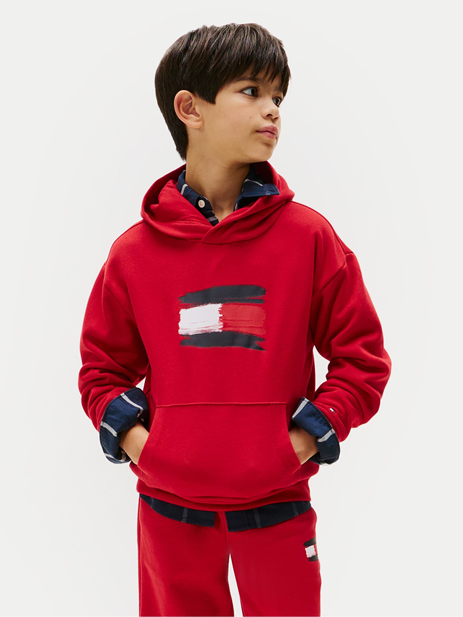 FLAG HOODIE 