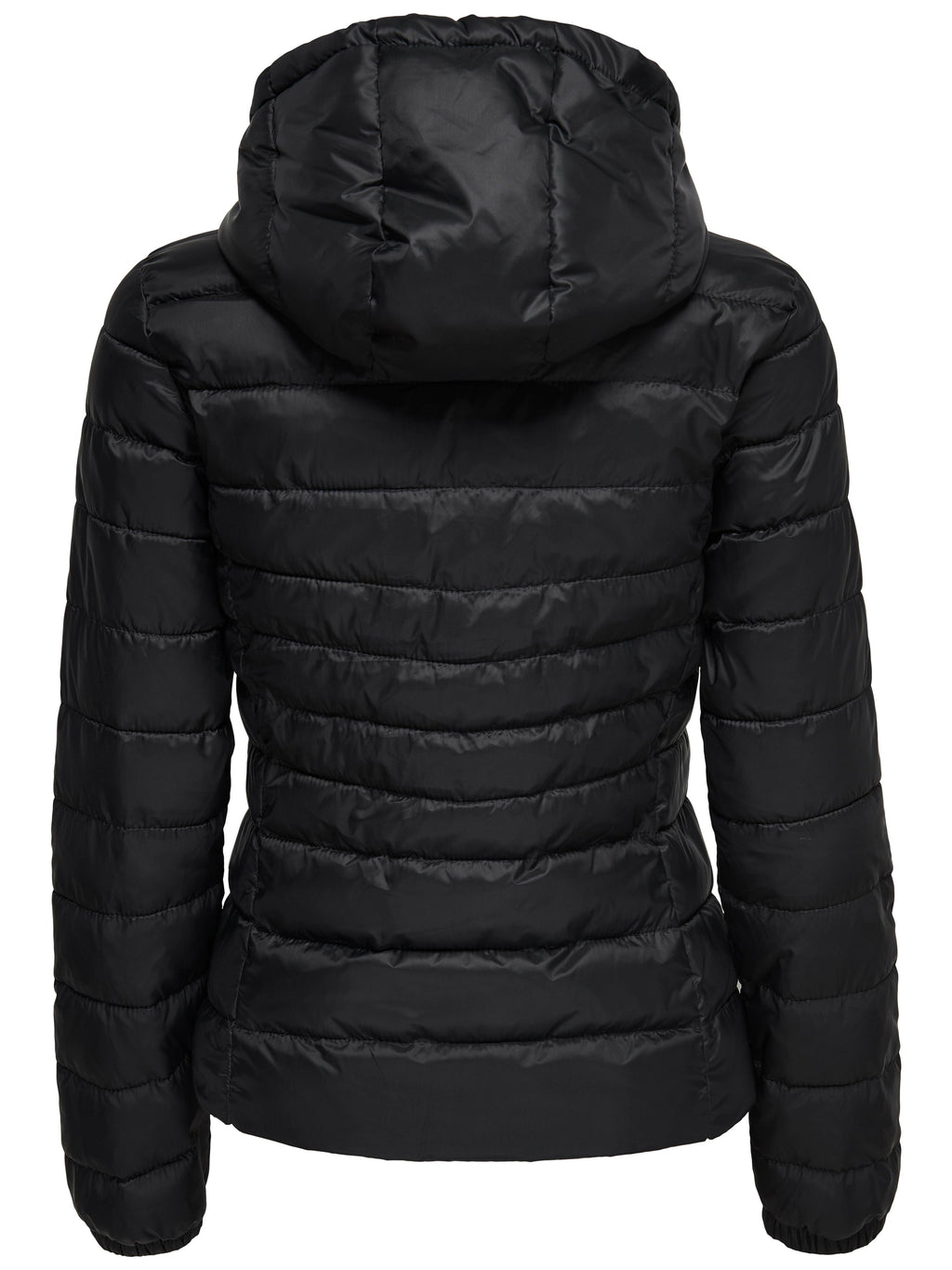 15156569/Black ONLY