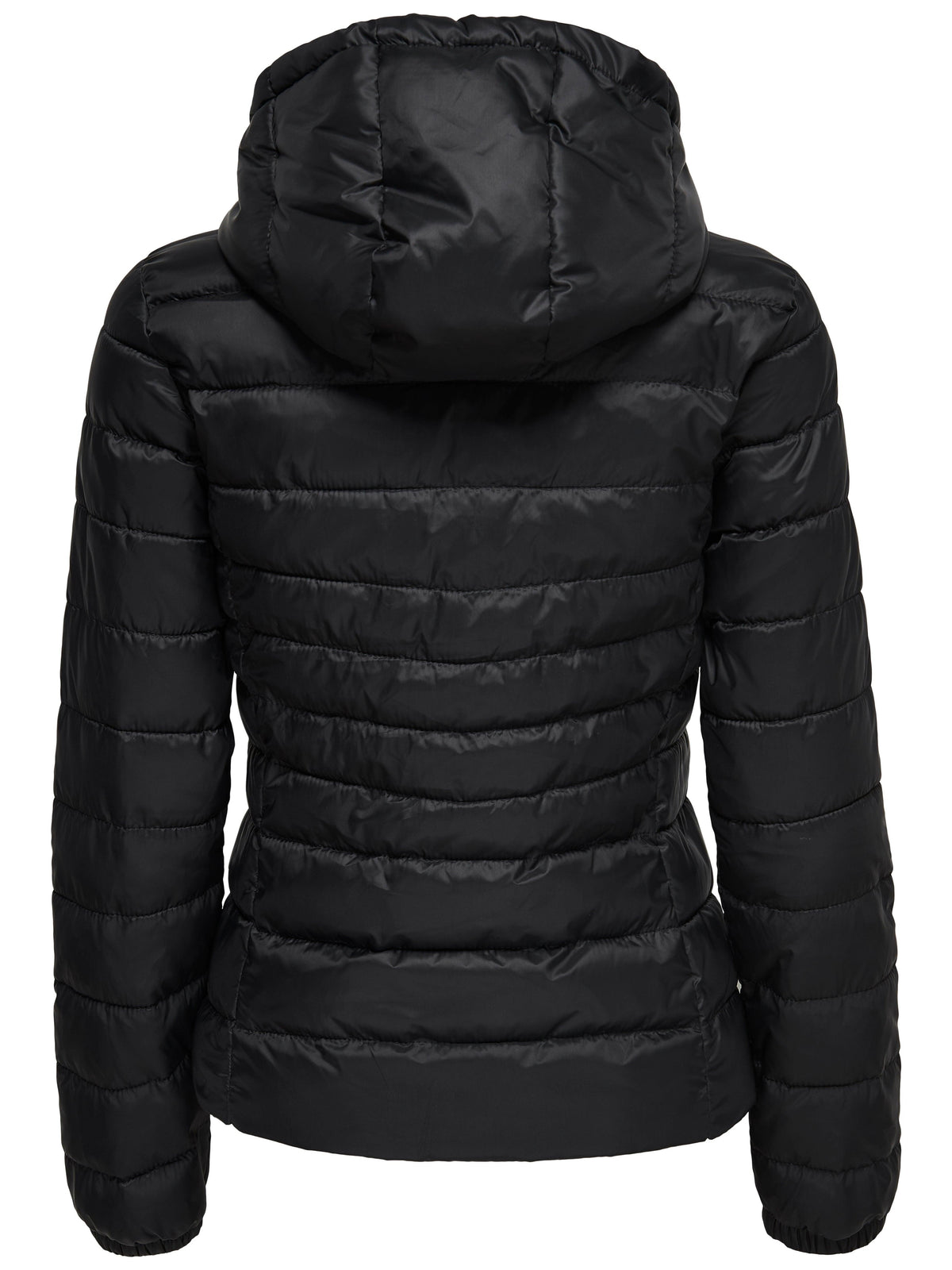 15156569/Black ONLY