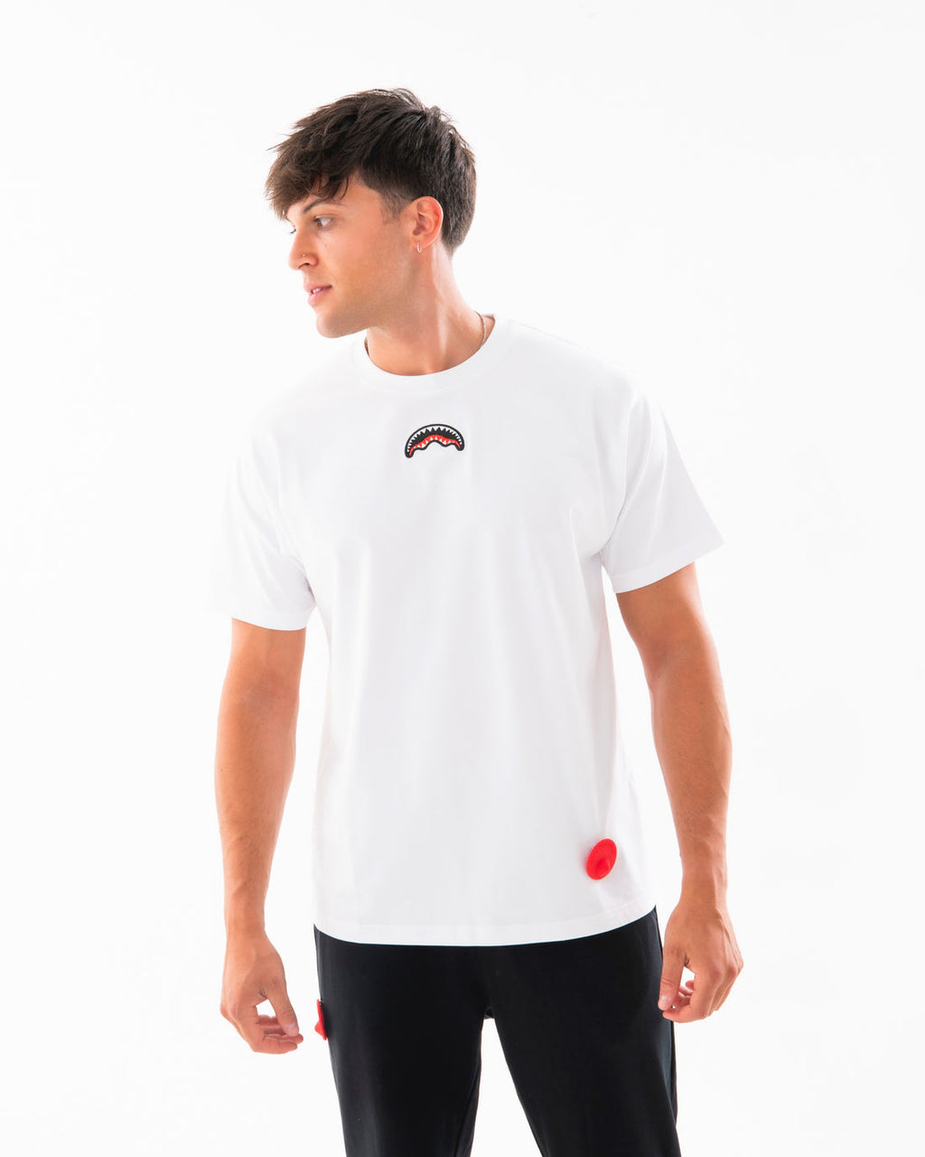 MY STOLEN SPRAY REGULAR TSHIRT WHT 