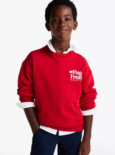 FUN FLAG SWEATSHIRT KB0KB09596/XLD TOMMY HILFIGER