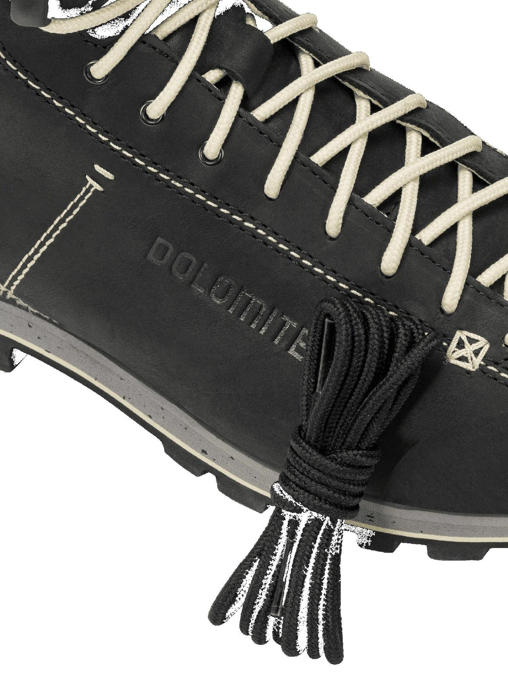 Shoe 54 High Fg Evo GTX 