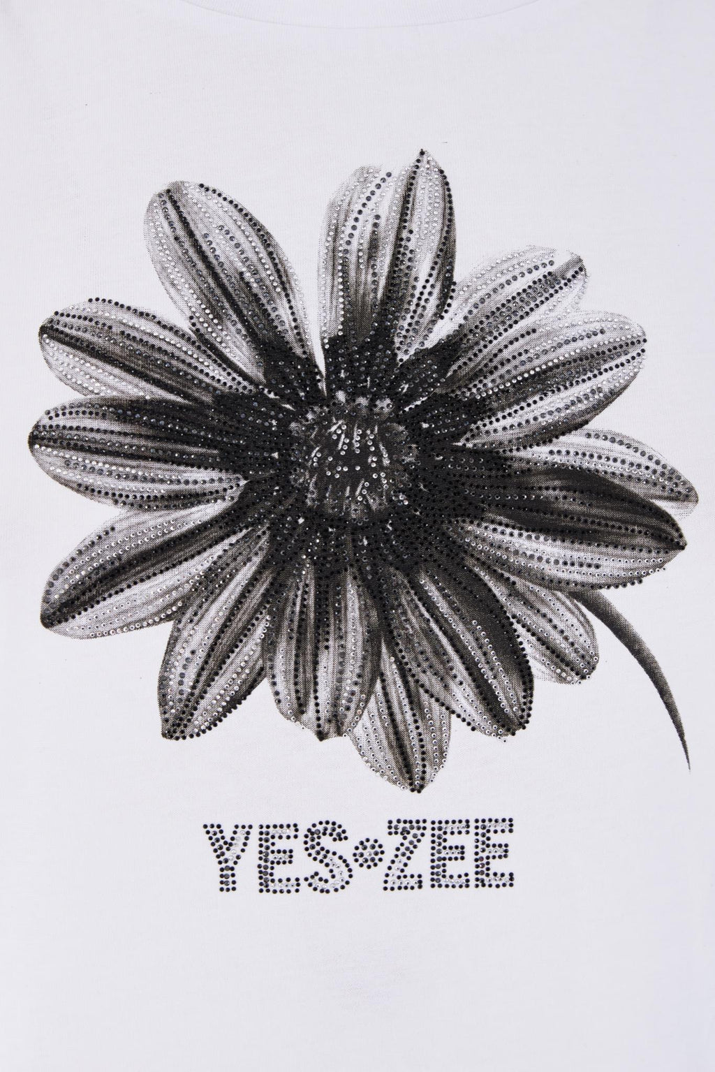 T239 JX00/0101 YES ZEE