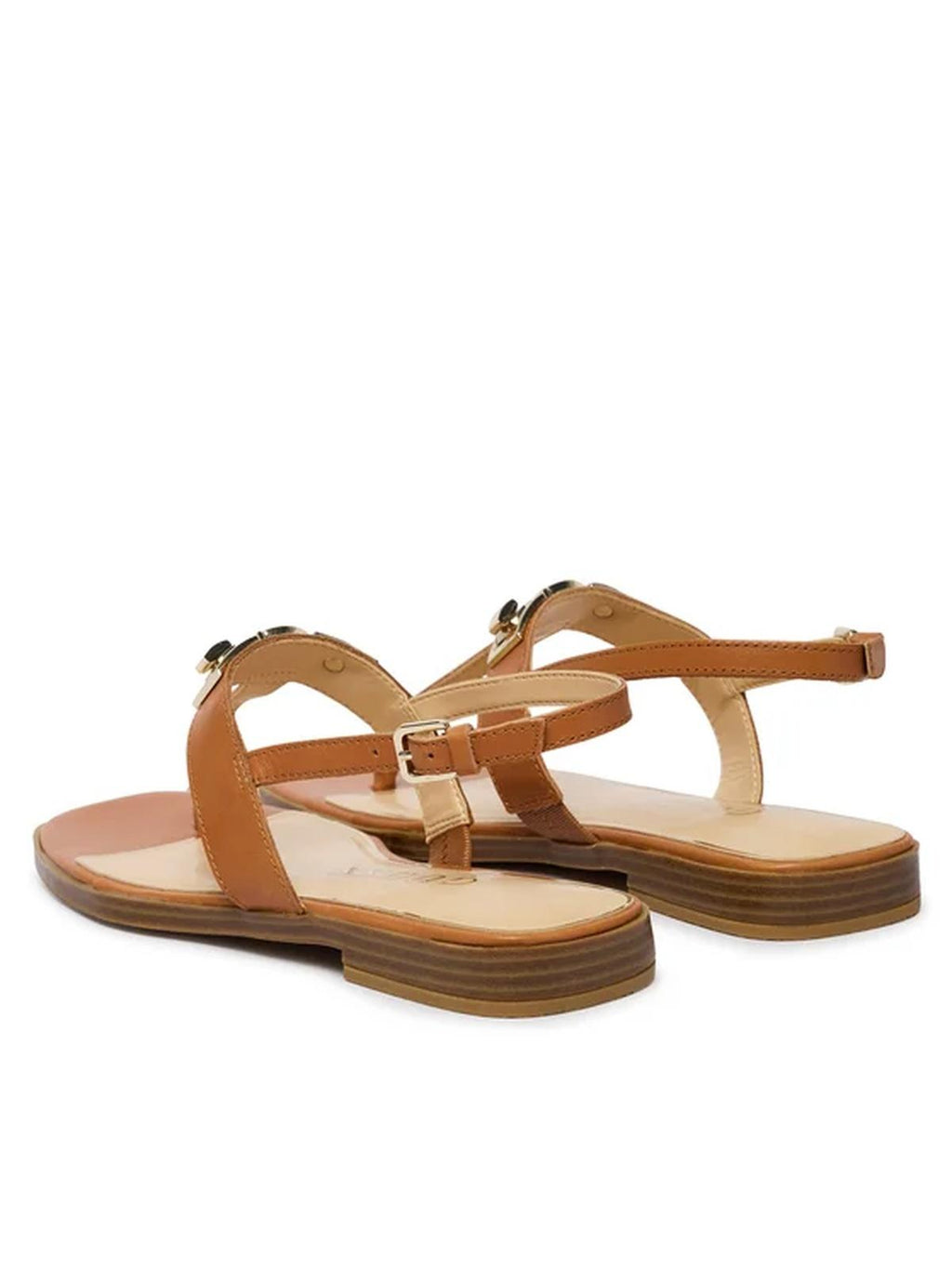FLJRMYLEA03/BROWN GUESS