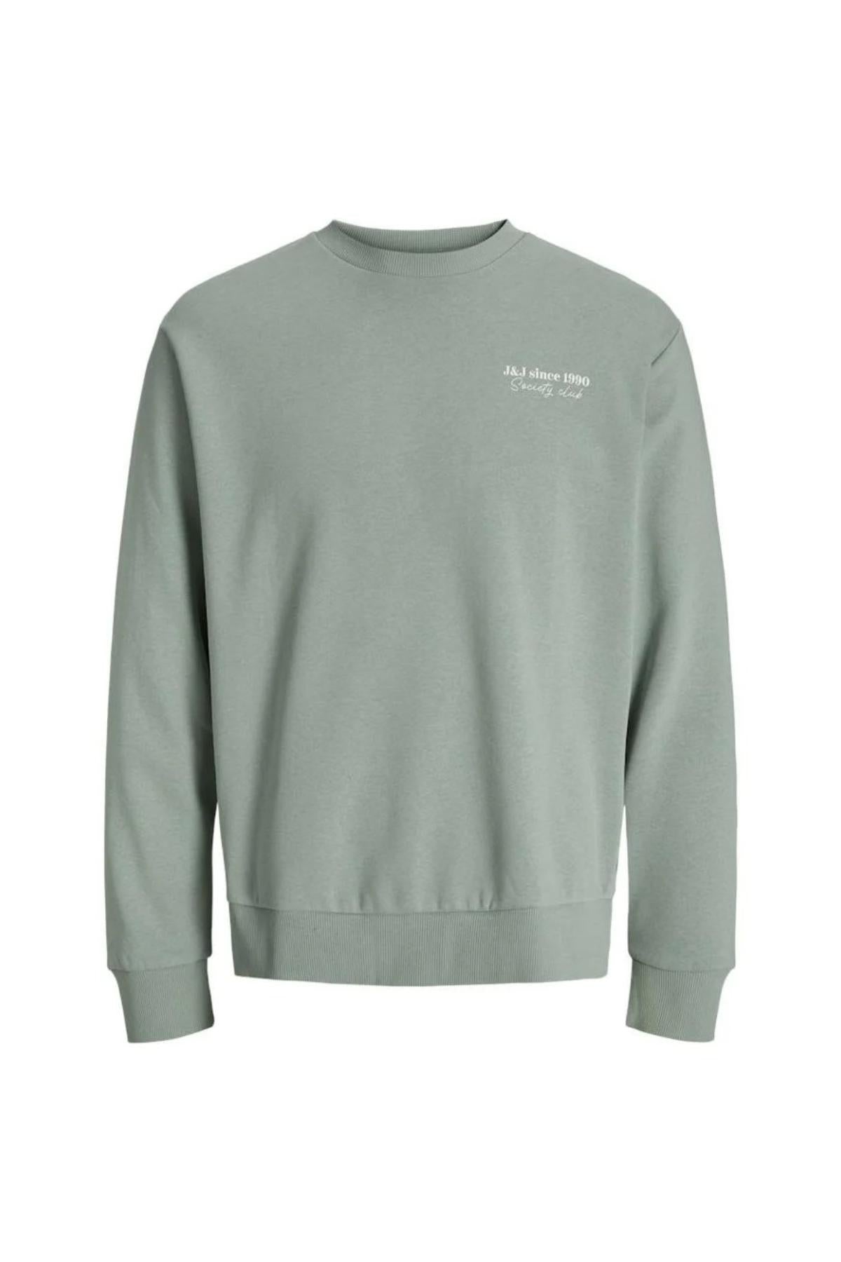 12280711/Iceberg Green JACK AND JONES