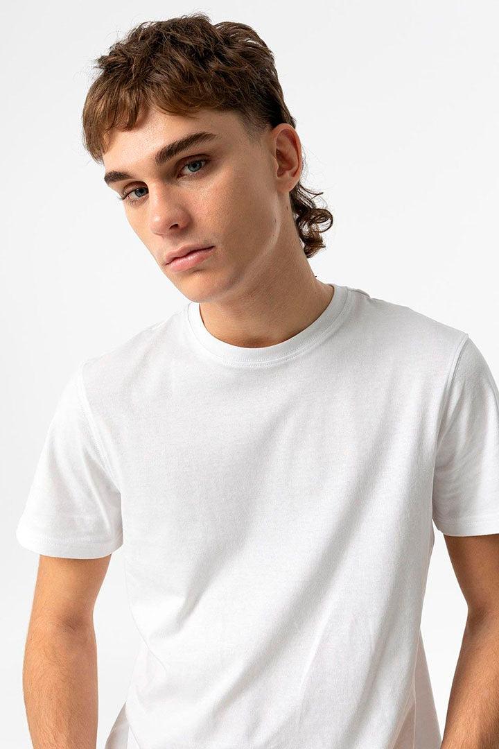 10058978/001 TIFFOSI