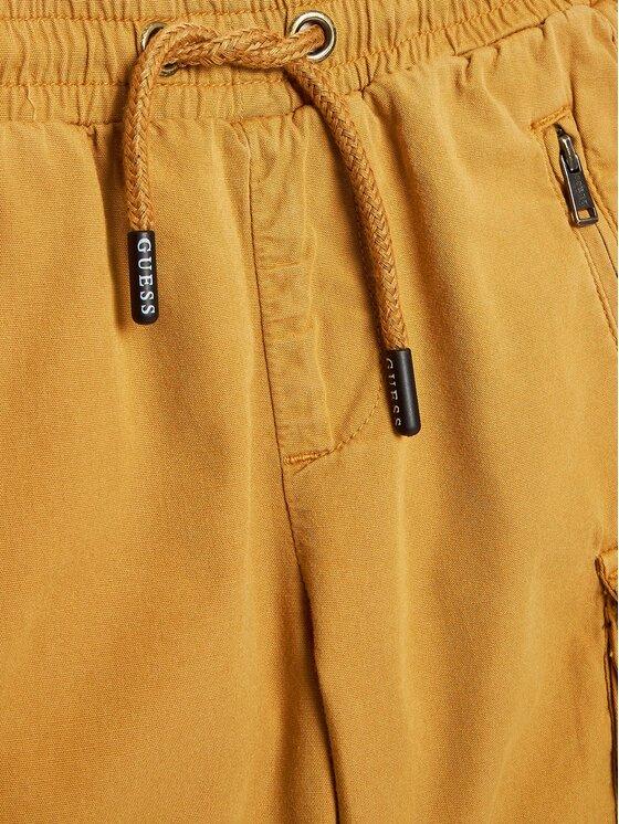 CARGO SHORTS_CORE N2RD01D3XN0/G1FS GUESS