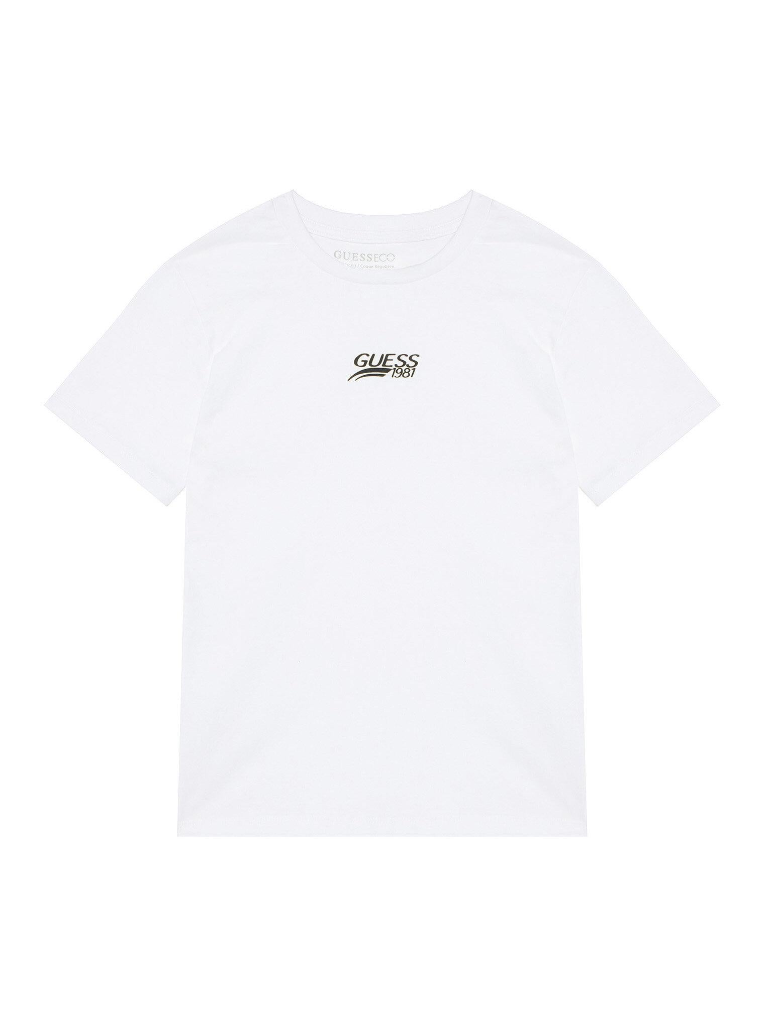 L6RI10K8HM4/G011 GUESS