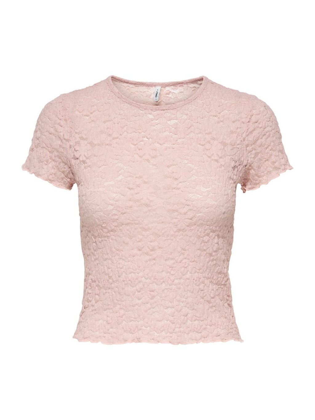 15371798/Sepia Rose ONLY