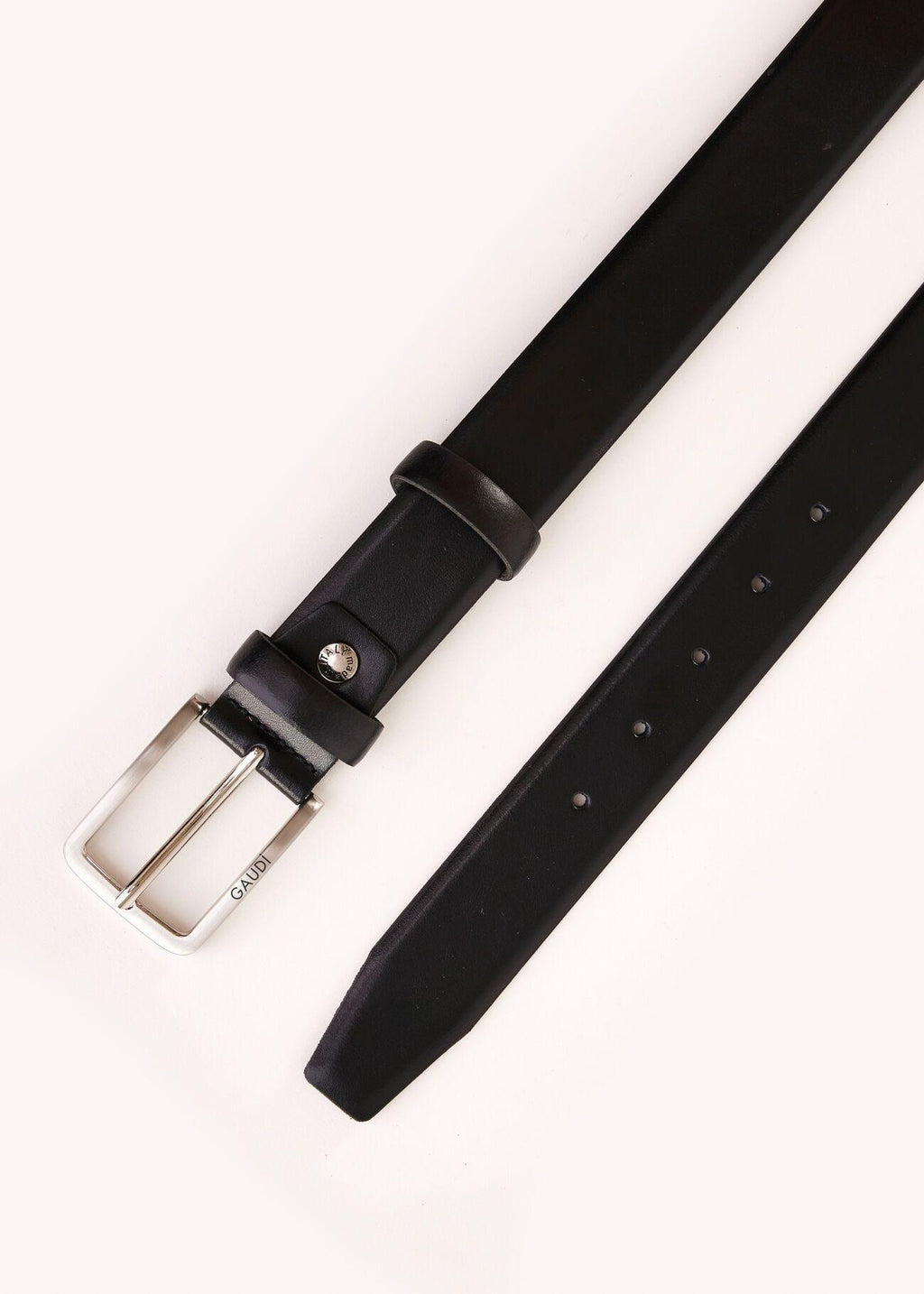 V5AI-12021/V0001 GAUDI