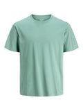 JACK AND JONES JJEORGANIC BASIC TEE SS O-NECK NOOS