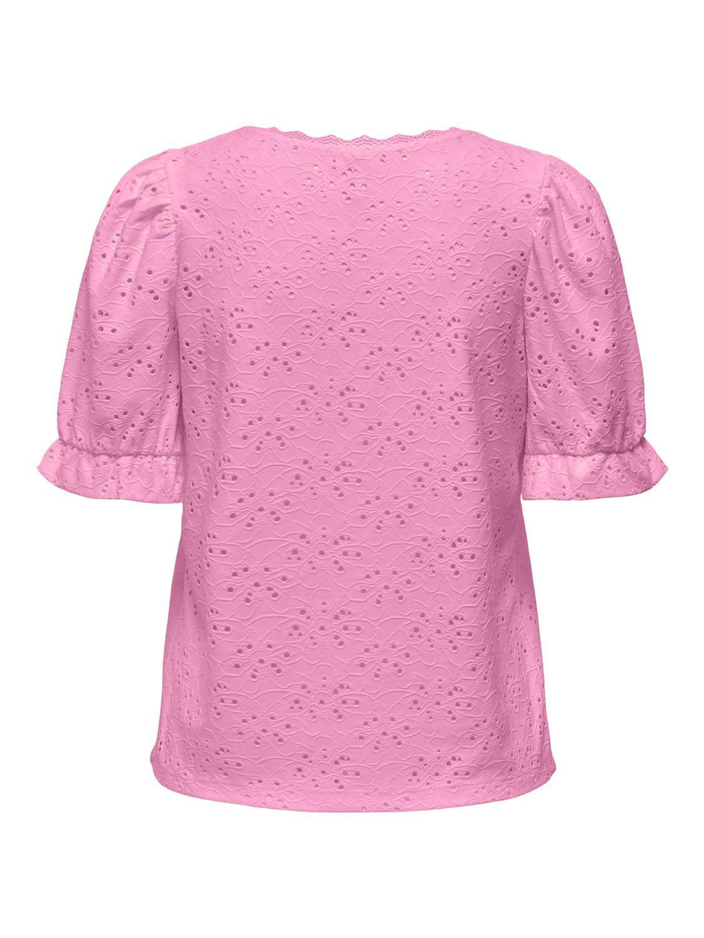 15315587/Begonia Pink ONLY