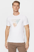 SS CN GUESS TRIANGLE 
