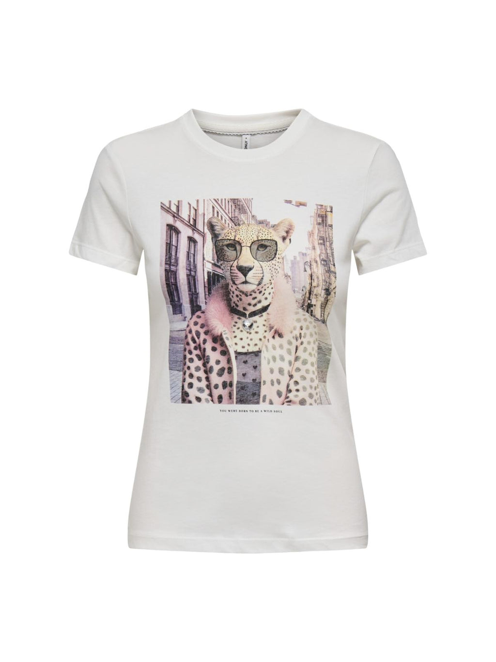 15291975/Cloud Dancer Vibe leo big city ONLY