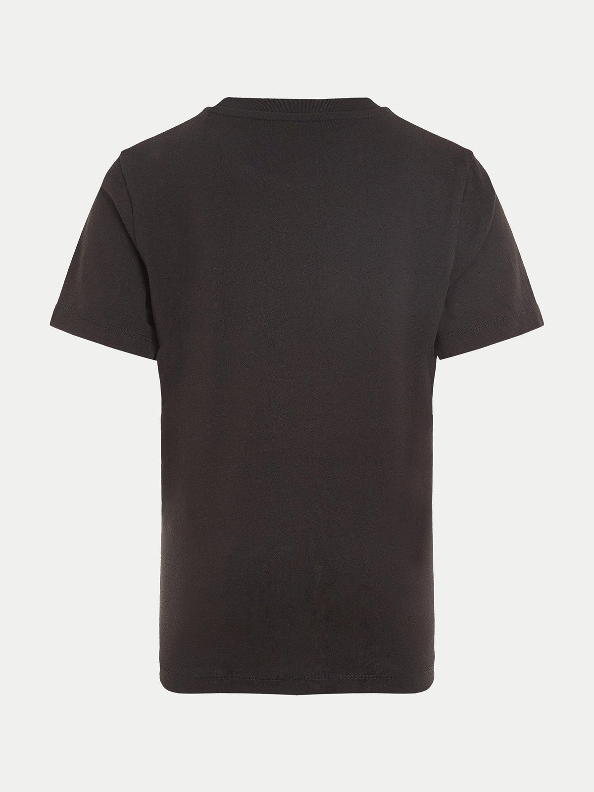 IB0IB02456J/BEH CALVIN KLEIN