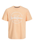 JACK AND JONES JJFOREST TEE SS CREW NECK