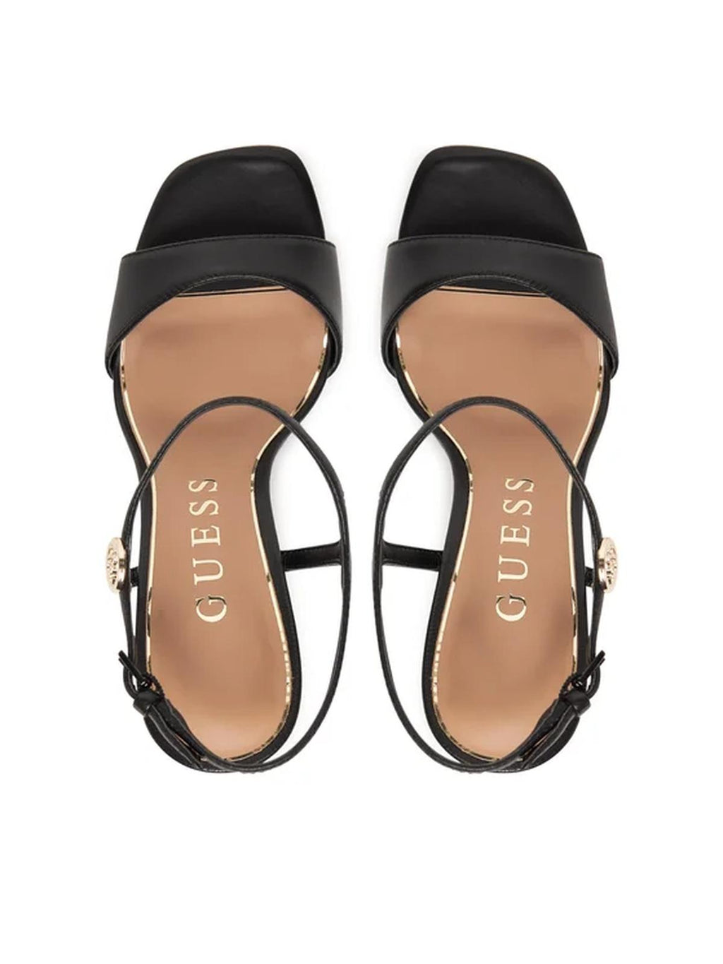 FLPHENLEA03/BLACK GUESS