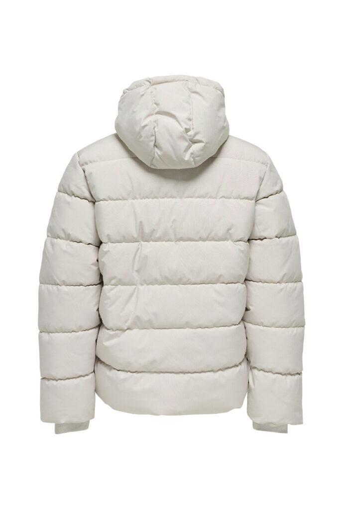 22030170/Silver Lining ONLY&SONS