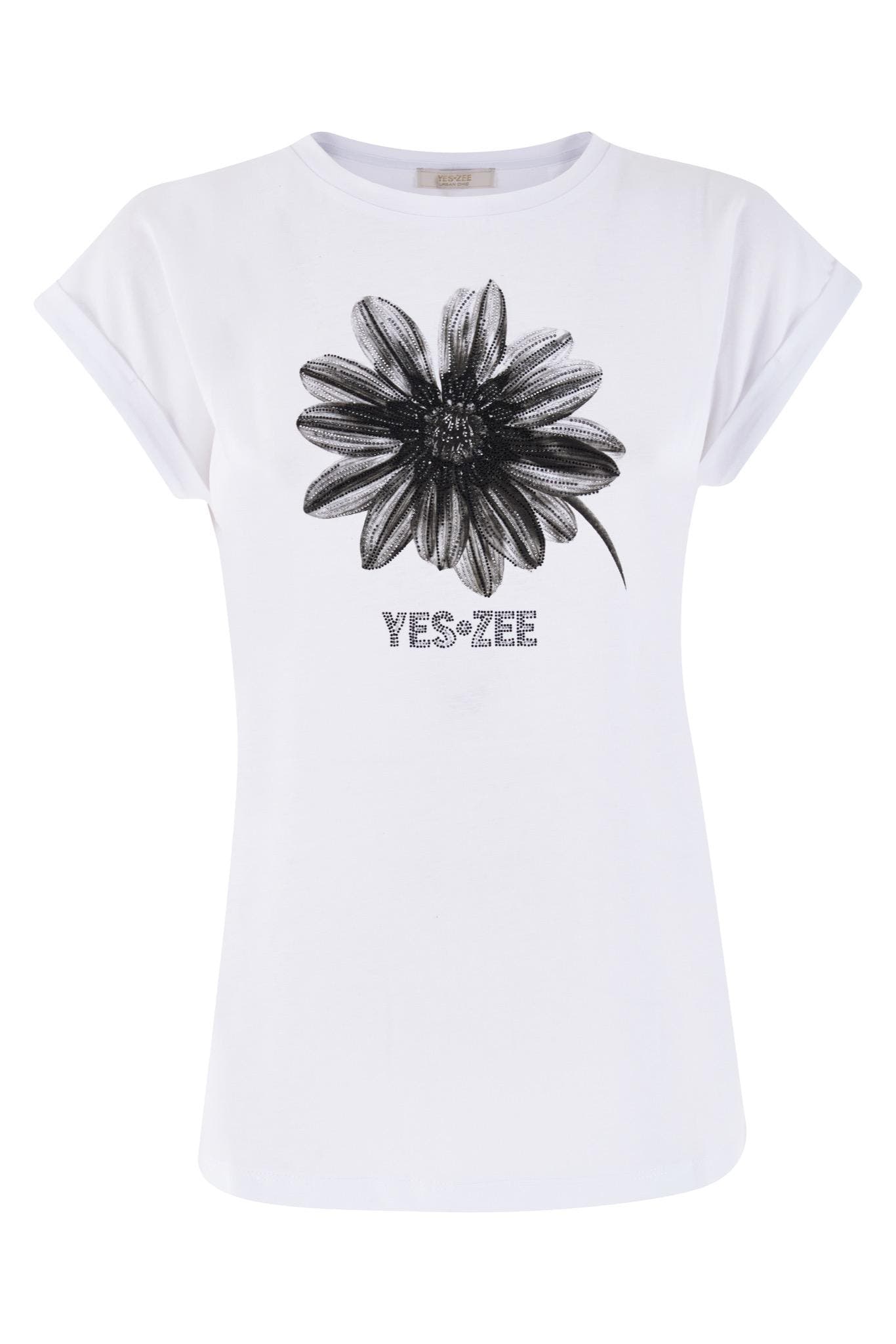 T239 JXJJ/0101 YES ZEE