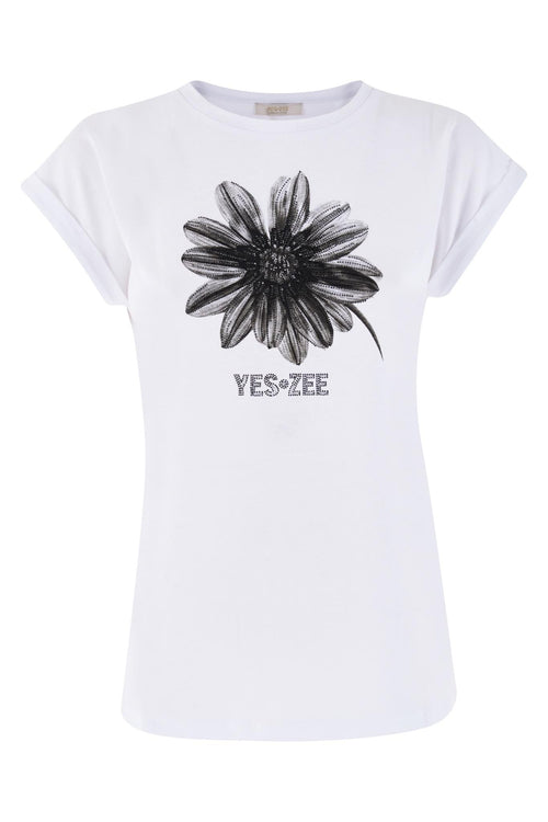 T239 JXJJ/0101 YES ZEE