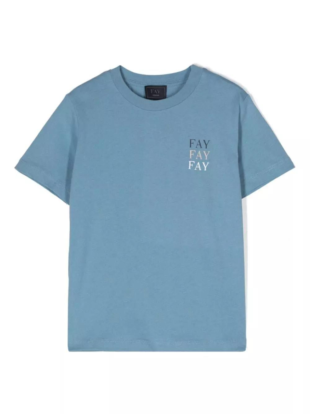 FS8P31 Z1173/626 FAY
