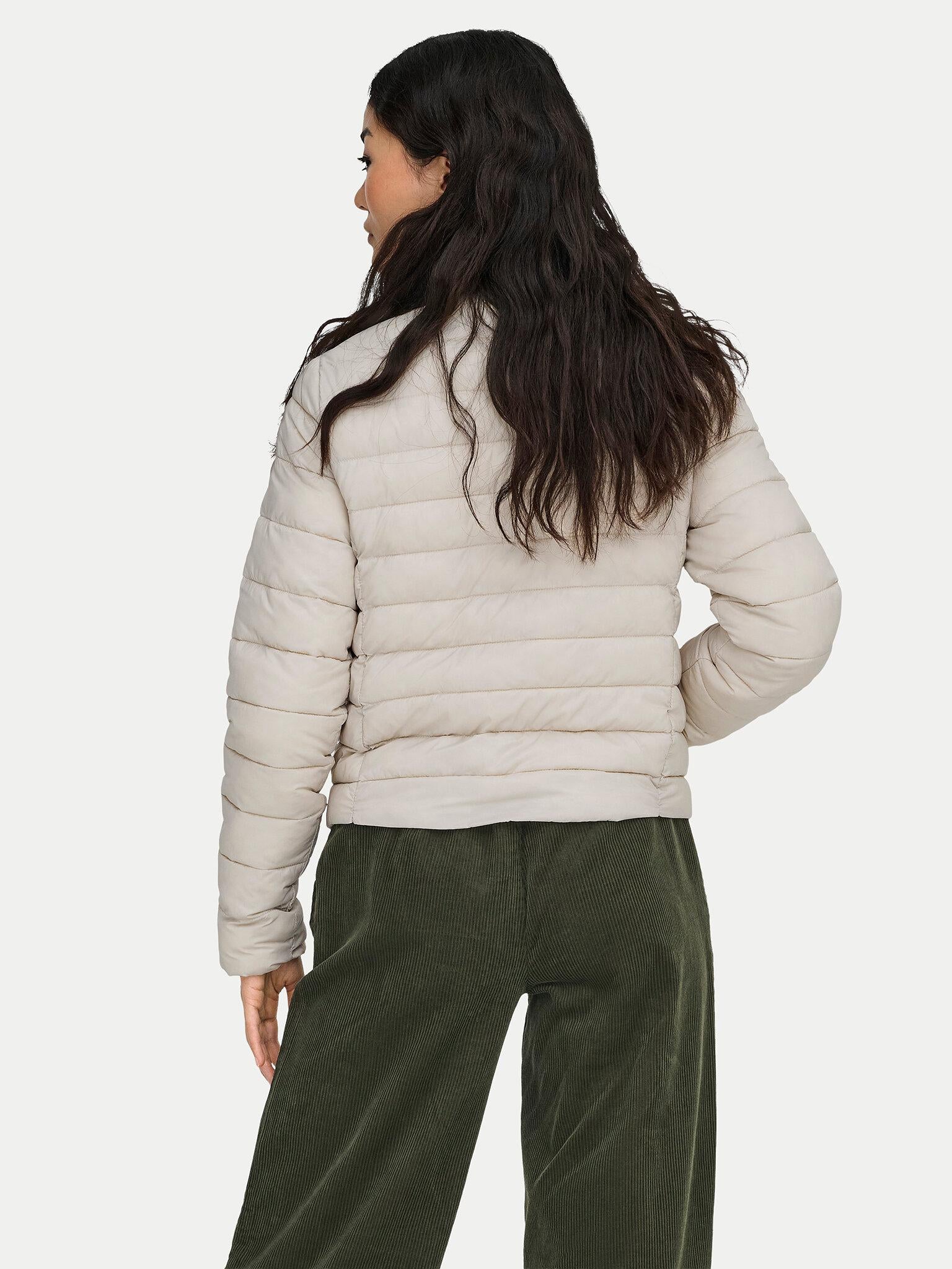 15351967/Pumice Stone ONLY