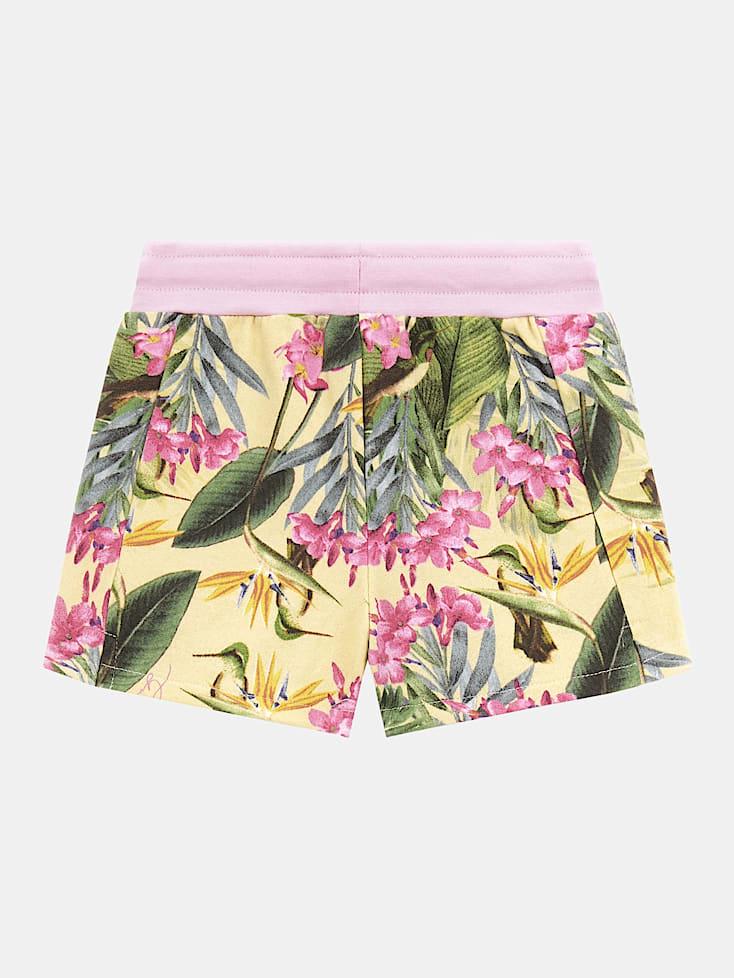 K4GD13KA6R3/P81X GUESS