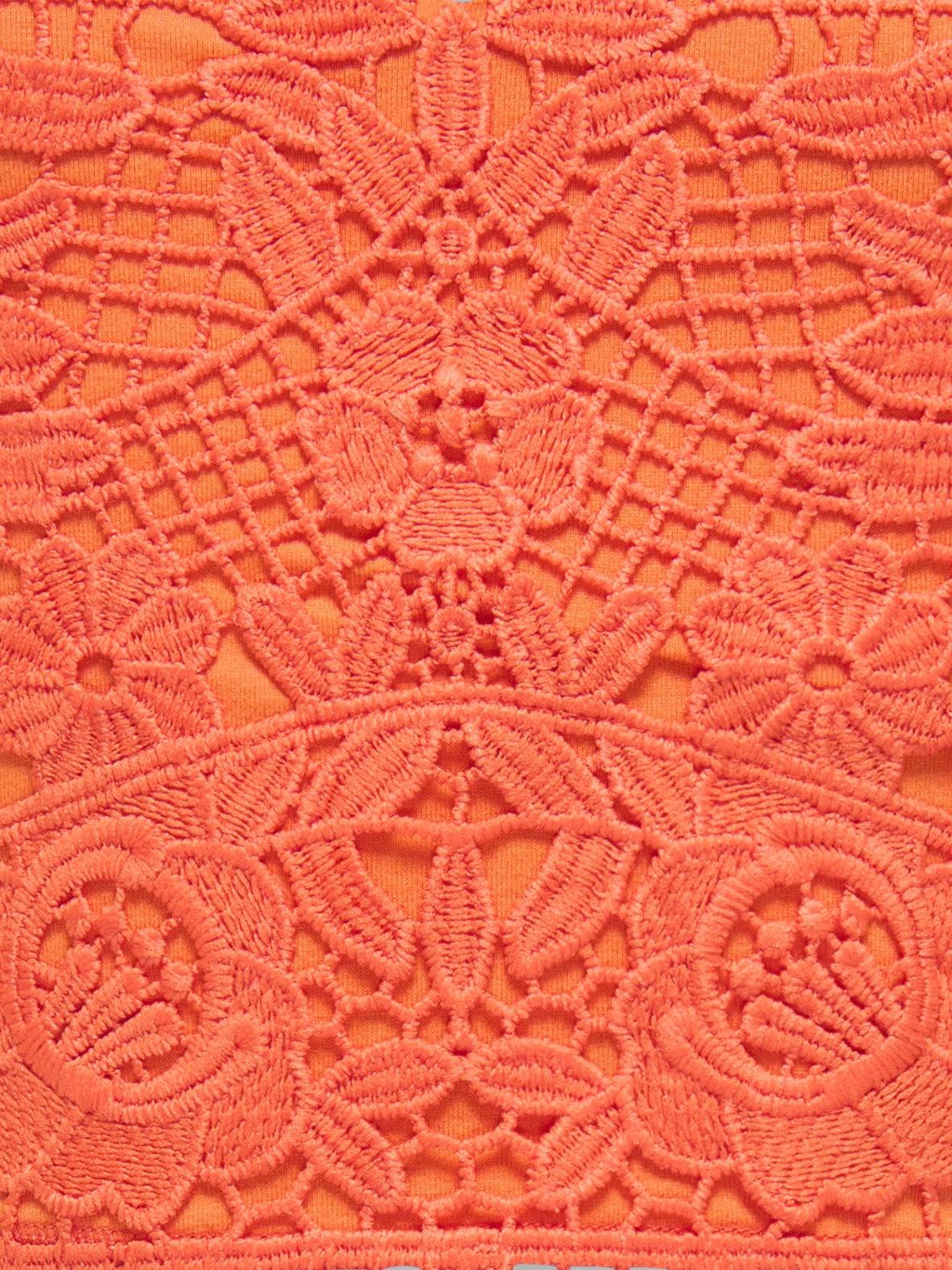 15325740/Nasturtium ONLY KIDS