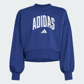 JG CLGT FT SWT DKBLUE/WHITE JM1535/ND ADIDAS