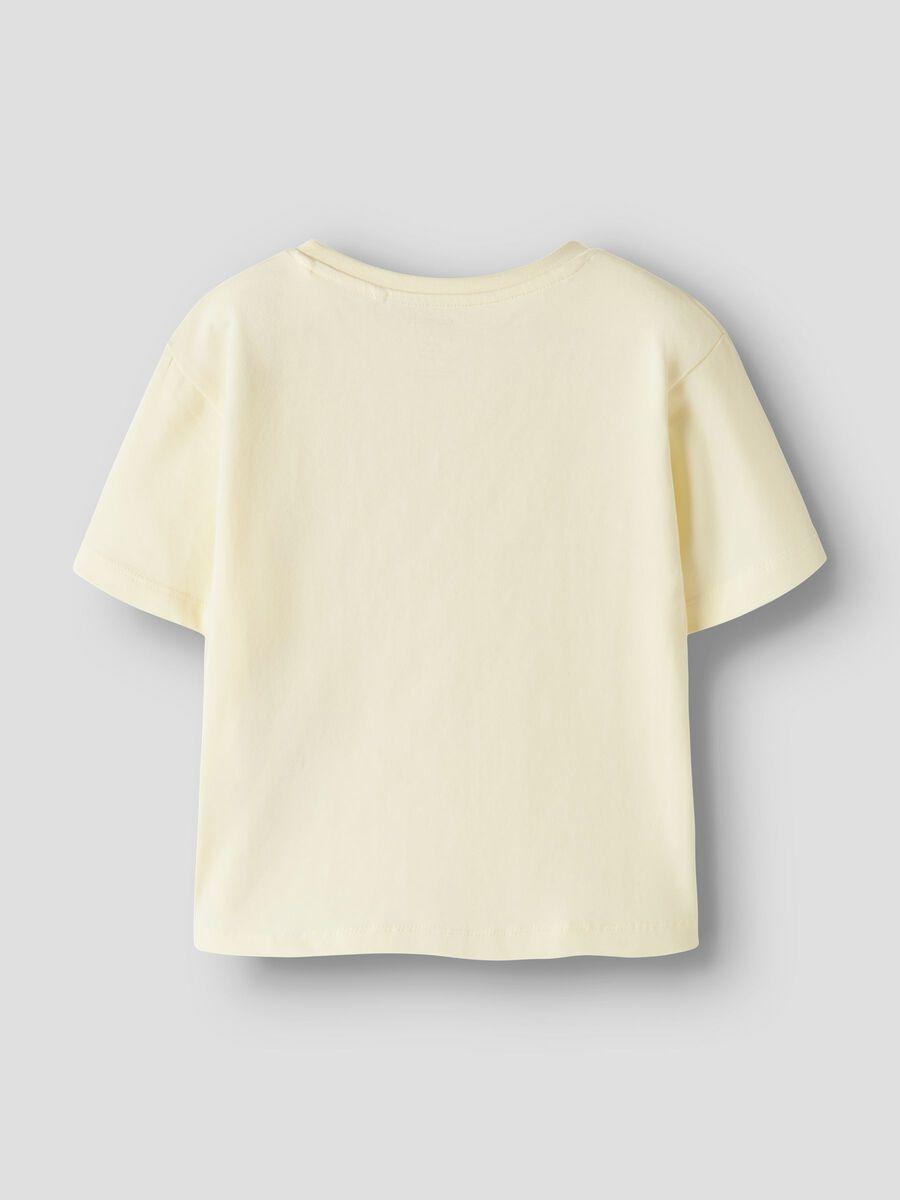 13253642/Pear Sorbet NAME.IT