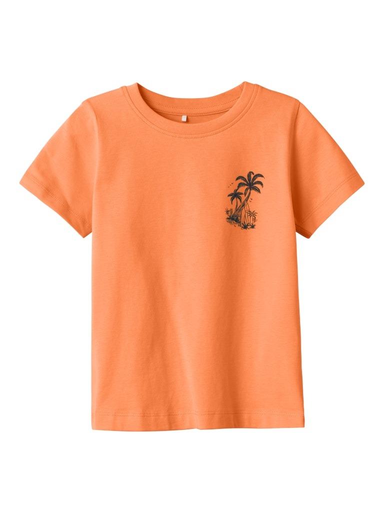 13228665/Bird of Paradise NAME.IT