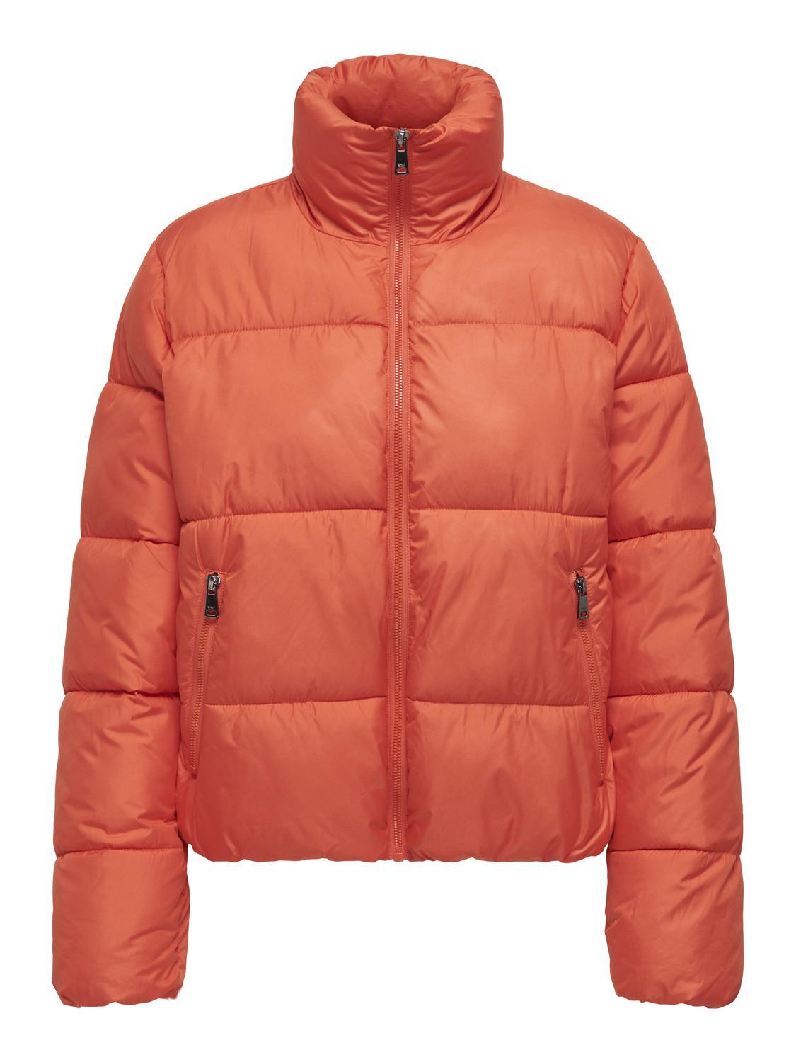 15323230/Fiesta ONLY