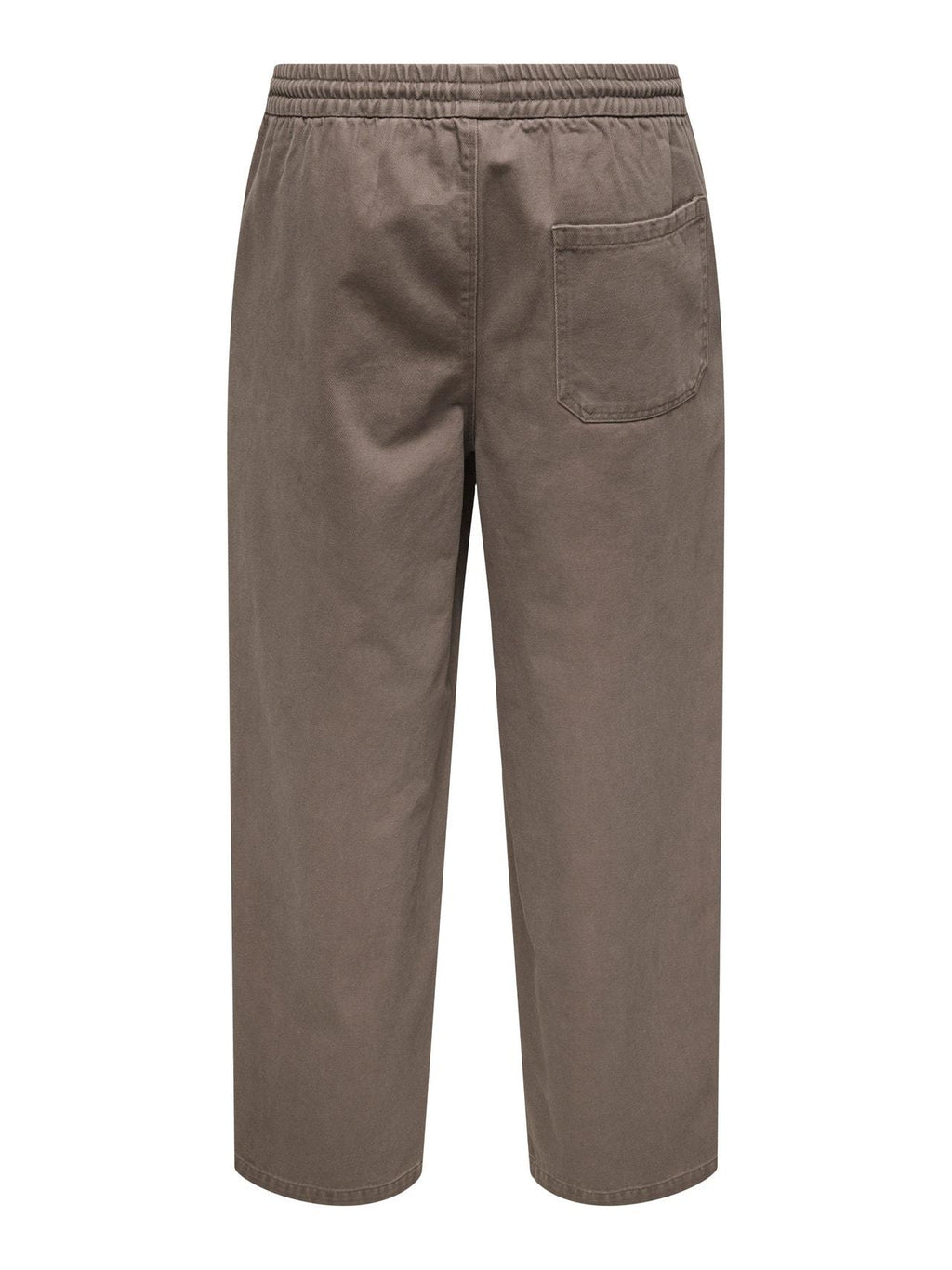 22034291/Falcon ONLY&SONS