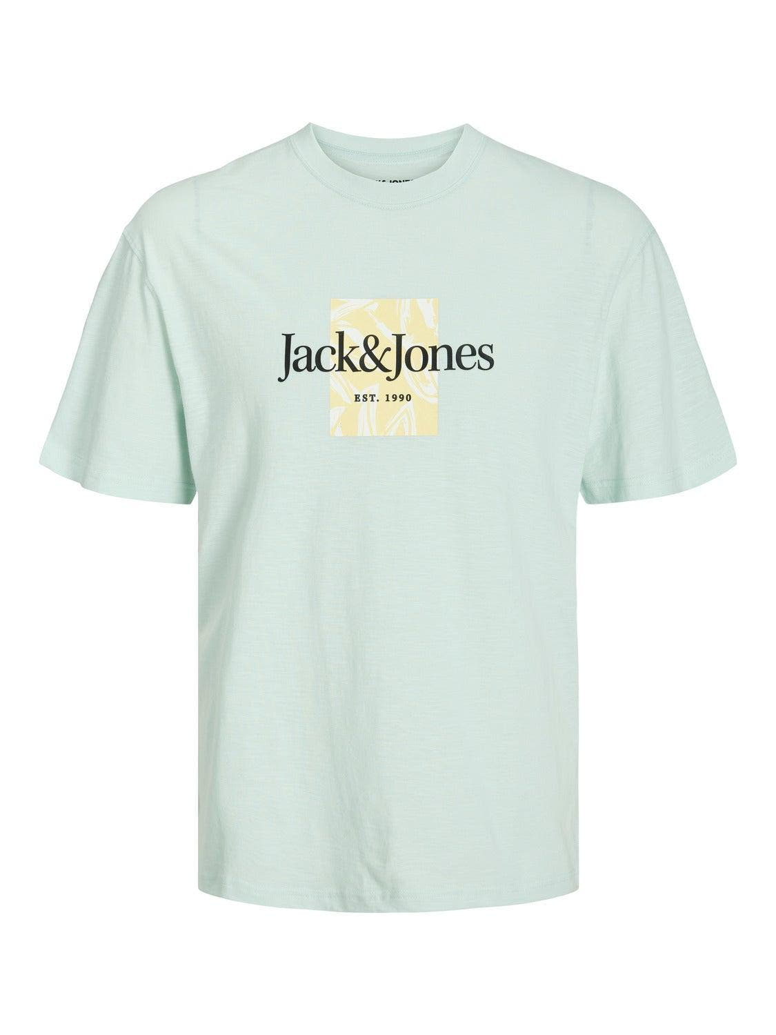 12250436/Skylight JACK AND JONES