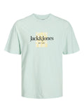 JACK AND JONES JORLAFAYETTE BRANDING TEE SS CREW NECK