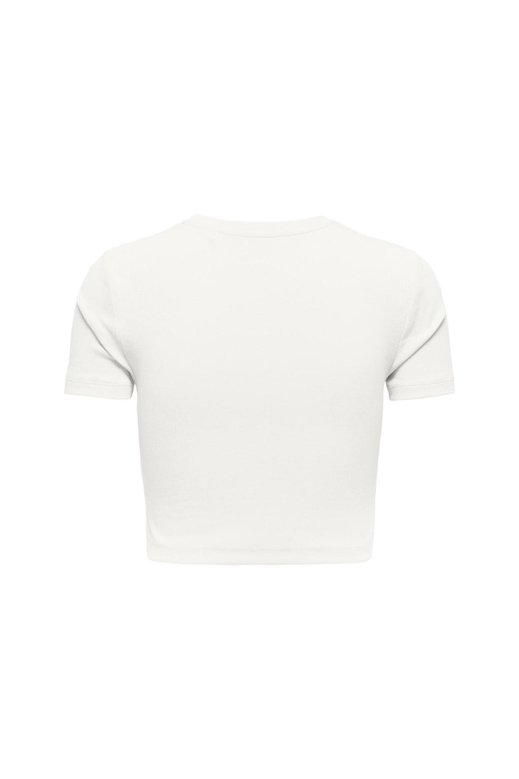 15311891/Cloud Dancer ONLY