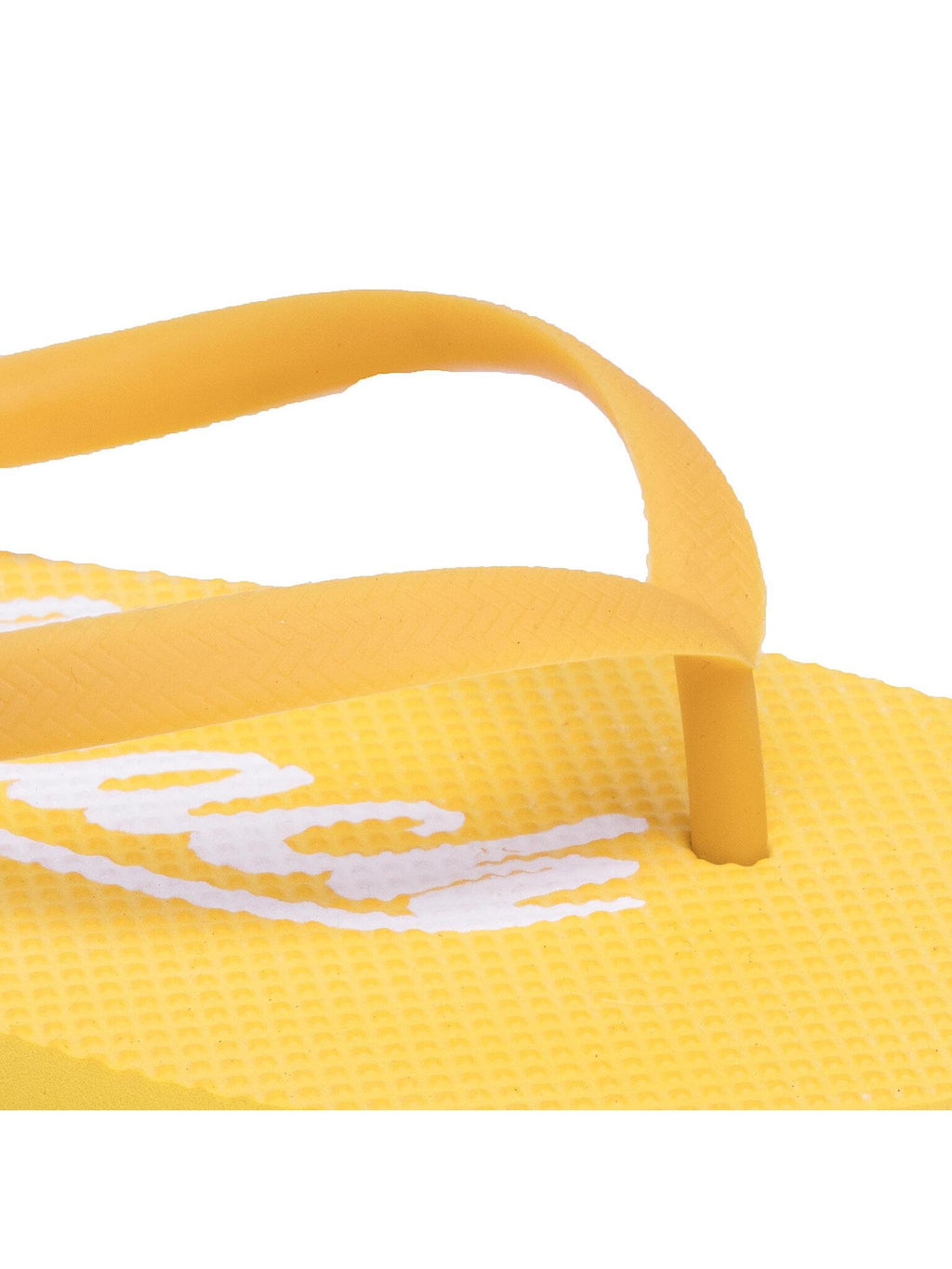SLIDES 