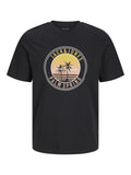 12269418/Black JACK AND JONES