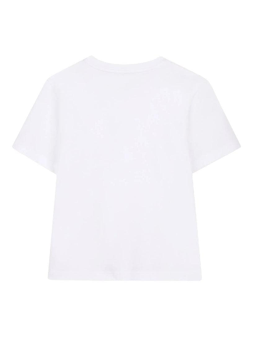 N30335/10P LANVIN